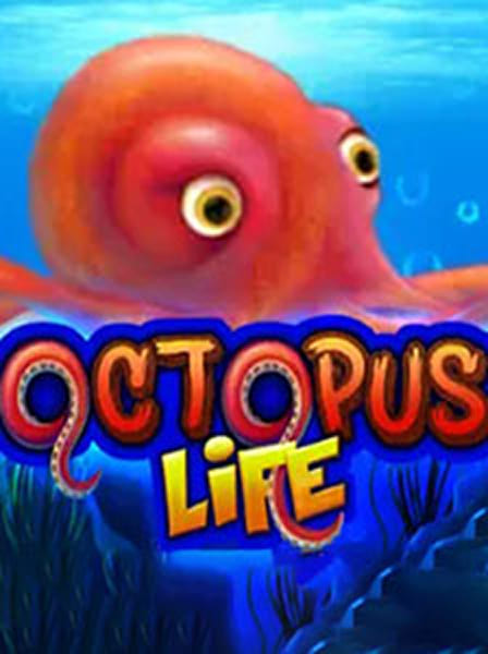 Octopus Life
