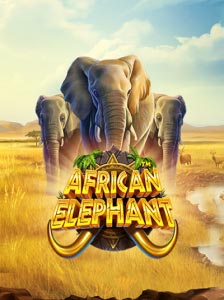 African Elephant