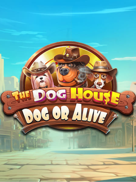 The Dog House - Dog or Alive