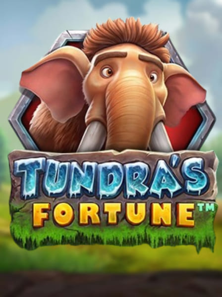 Tundra's Fortune