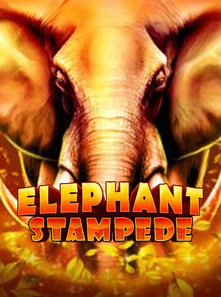 Elephant Stampede