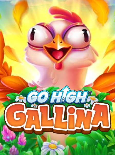 Go High Gallina