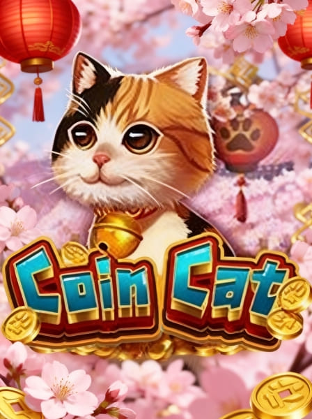Coin Cat